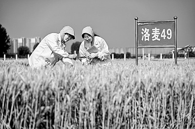 高校微专业:培养兴趣,“一专多能” 高校微专业:培养兴趣,“一专多能”
